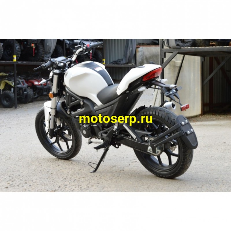 Купить  Мопед VMC Monster 50 (репл DUCATI)  4так; 50cc; колеса 17"литые; 4пер, эл. старт;  (шт) 01250 (Vento купить с доставкой по Москве и России, цена, технические характеристики, комплектация фото  - motoserp.ru