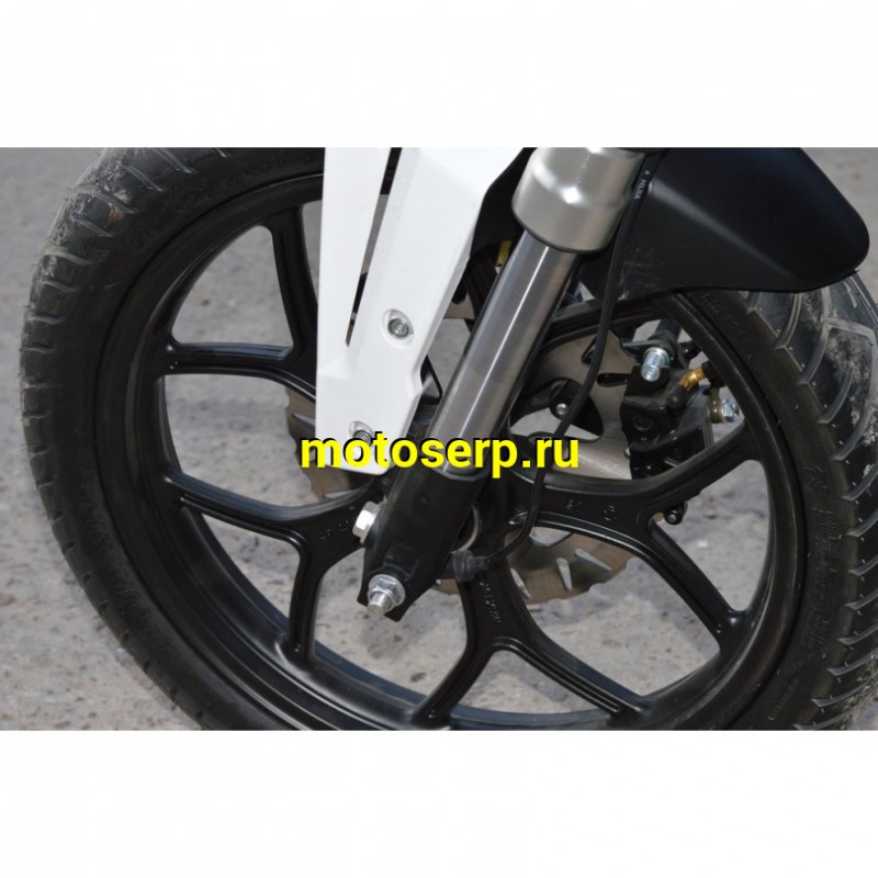 Купить  Мопед VMC Monster 50 (репл DUCATI)  4так; 50cc; колеса 17"литые; 4пер, эл. старт;  (шт) 01250 (Vento купить с доставкой по Москве и России, цена, технические характеристики, комплектация фото  - motoserp.ru