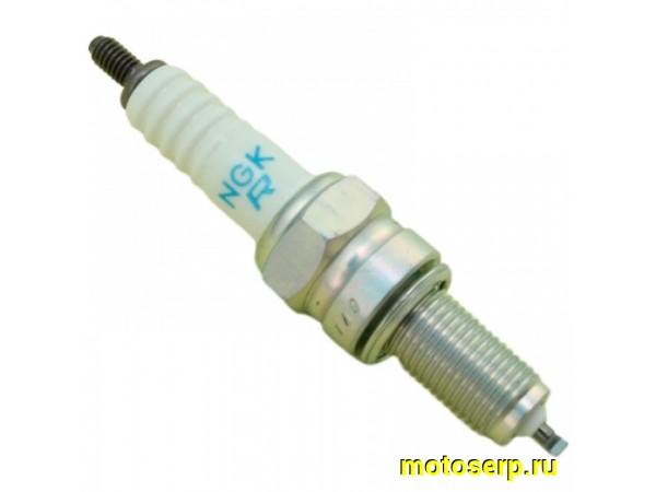 Купить  Свеча зажигания ( 9) NGK CPR8EA-9 (шт) (LIFAN BJX34210A0A00 (LIFAN 3.00029.041.0.20645 (KOVE 150001-EBR01-000 купить с доставкой по Москве и России, цена, технические характеристики, комплектация фото  - motoserp.ru