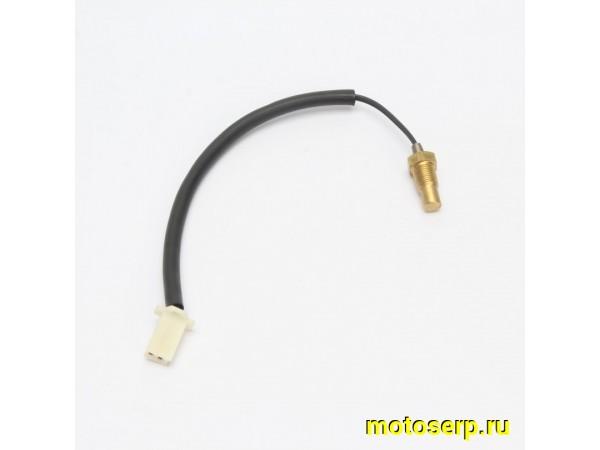 Купить  Датчик температуры двигателя 170MM (шт) (AVANTIS 22074 купить с доставкой по Москве и России, цена, технические характеристики, комплектация фото  - motoserp.ru