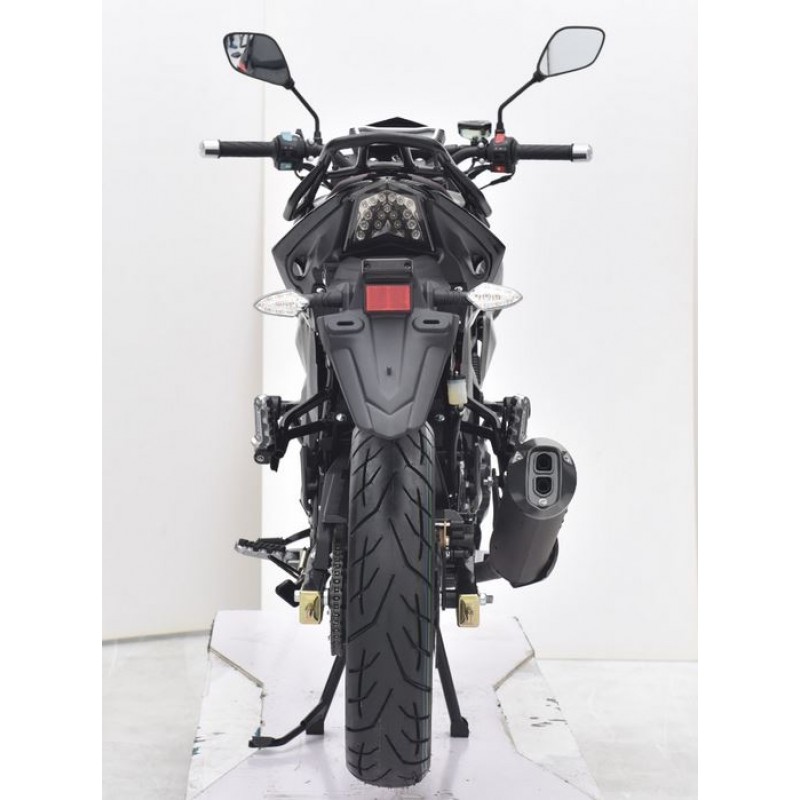 Купить  Мотоцикл Regulmoto Senke Majesty 250PR, балансир, перевертыш, прогрессия, пеги, LED фара,   (шт) (Regul (ФОТО купить с доставкой по Москве и России, цена, технические характеристики, комплектация фото  - motoserp.ru