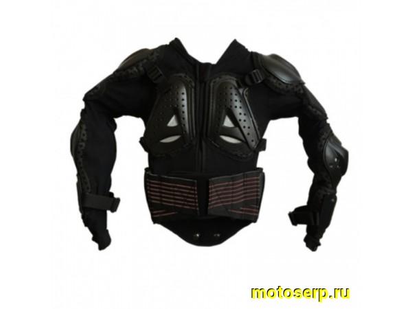 Купить  Защита тела (черепаха) Wolf AR06 (детская) (XL) (шт) (Regul 304225-4 купить с доставкой по Москве и России, цена, технические характеристики, комплектация фото  - motoserp.ru
