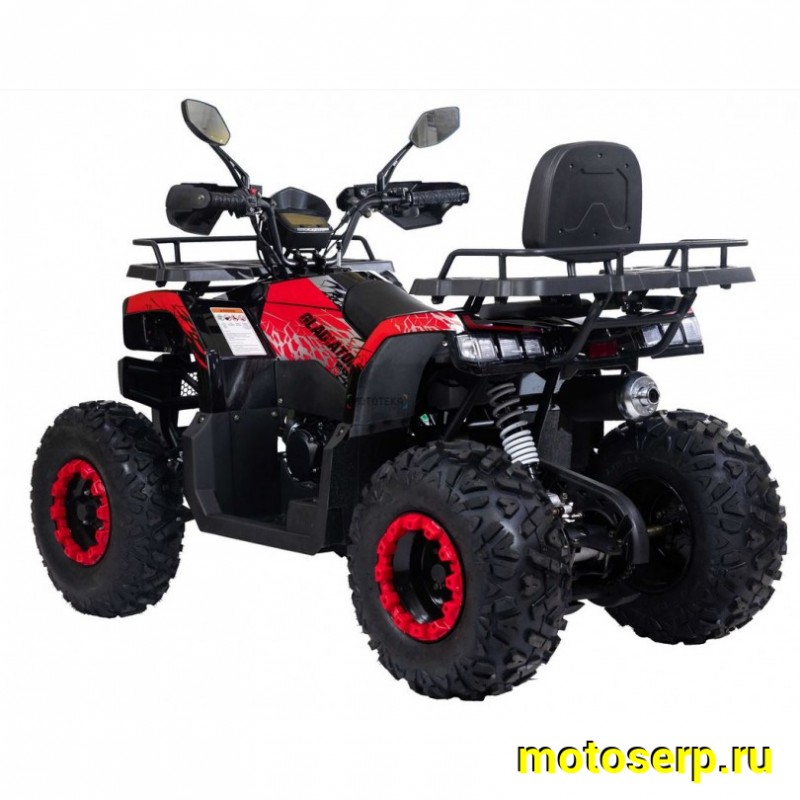Купить  200cc Комплект запчастей для сборки Racer RC200 Gladiator 200сс, 10/10", диск/диск, спинка, зеркала, защита рук (шт) (Racer купить с доставкой по Москве и России, цена, технические характеристики, комплектация фото  - motoserp.ru
