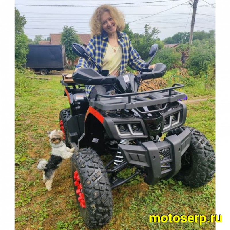 Купить  200cc Комплект запчастей для сборки Racer RC200 Gladiator 200сс, 10/10", диск/диск, спинка, зеркала, защита рук (шт) (Racer купить с доставкой по Москве и России, цена, технические характеристики, комплектация фото  - motoserp.ru