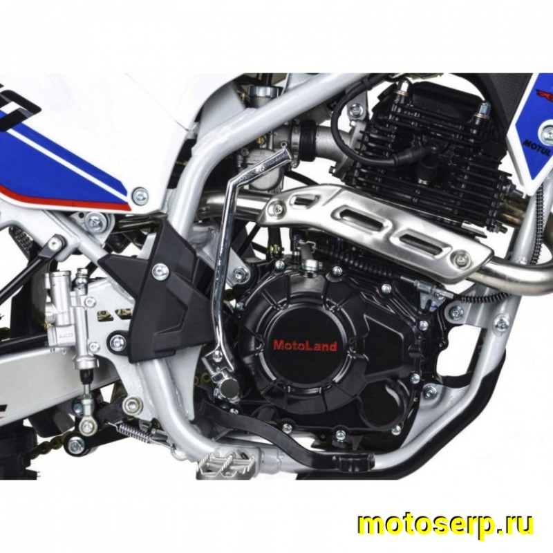 Купить  Мотоцикл Кросс/Эндуро Motoland MTX300 (175FMM) (шт) (ML 21945 (ФОТО купить с доставкой по Москве и России, цена, технические характеристики, комплектация фото  - motoserp.ru