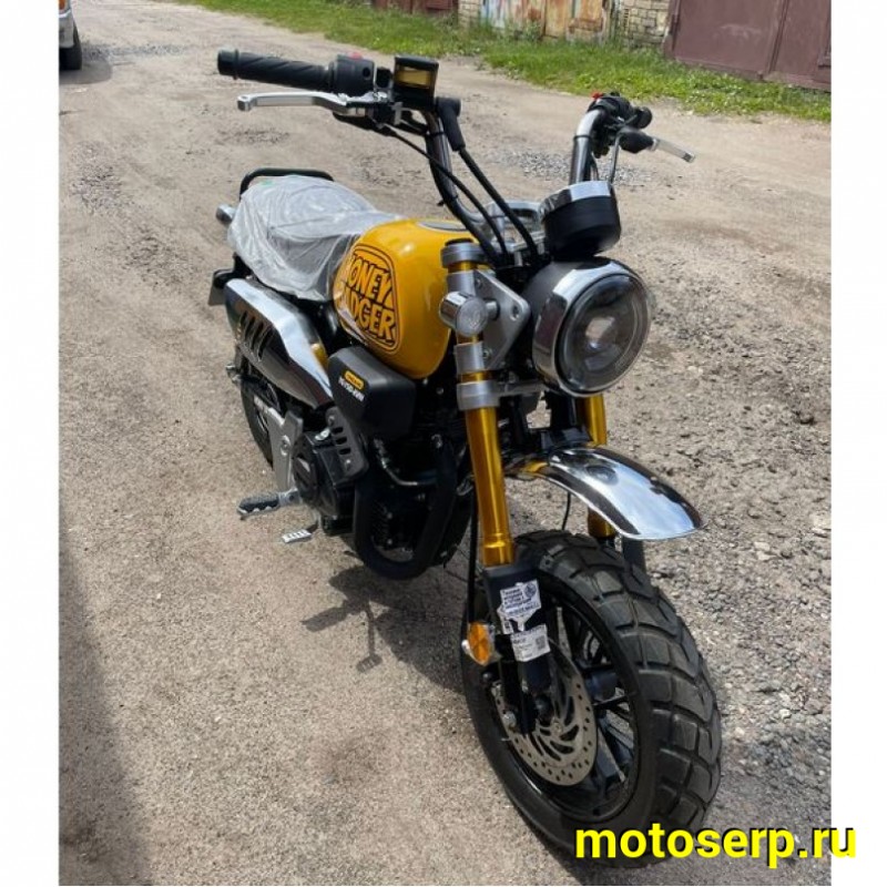 Купить  Мопед Motoland Monkey 50сс 12/12", электр/кикстартер, Диск/Диск  (шт) 01500 (ML 21951 (ФОТО купить с доставкой по Москве и России, цена, технические характеристики, комплектация фото  - motoserp.ru