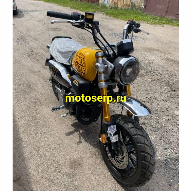 Купить  Мопед Motoland Monkey 50сс 12/12", электр/кикстартер, Диск/Диск  (шт) 01500 (ML 21951 (ФОТО купить с доставкой по Москве и России, цена, технические характеристики, комплектация фото  - motoserp.ru