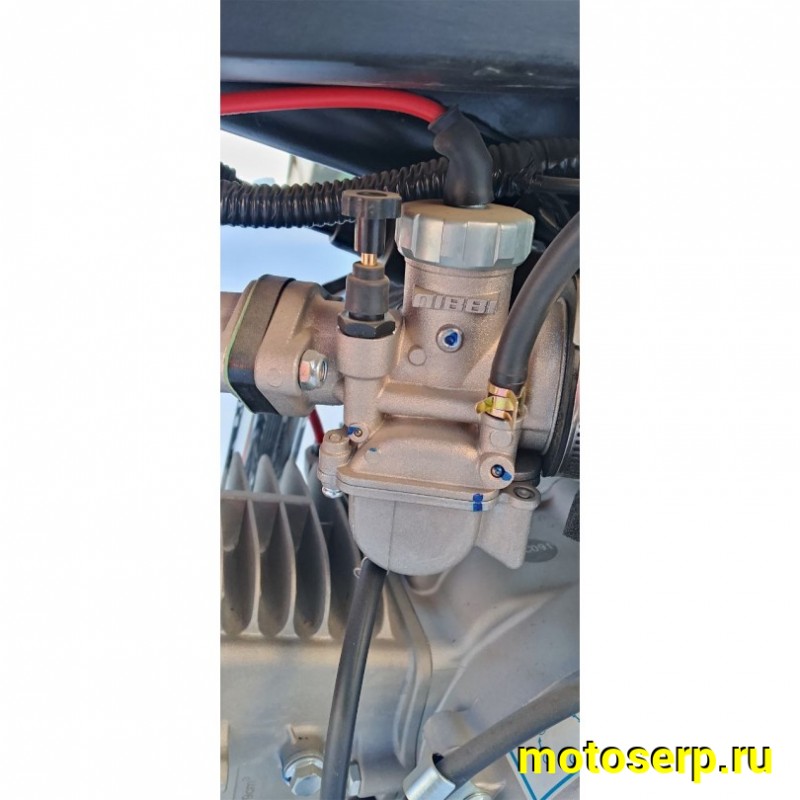 Купить  Питбайк Avantis Pitbike 15-00E 17/14", 150cc, электростартер (спортинв) (шт) купить с доставкой по Москве и России, цена, технические характеристики, комплектация фото  - motoserp.ru