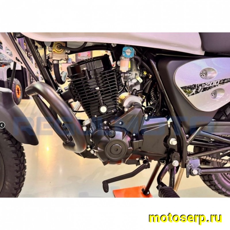 Купить  Мотоцикл Regulmoto Monster 200сс, 17/17", балансир, линз. фара, литые колеса (шт)  купить с доставкой по Москве и России, цена, технические характеристики, комплектация фото  - motoserp.ru