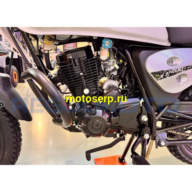 Купить  Мотоцикл Regulmoto Monster 200сс, 17/17", балансир, линз. фара, литые колеса (шт)  купить с доставкой по Москве и России, цена, технические характеристики, комплектация фото  - motoserp.ru