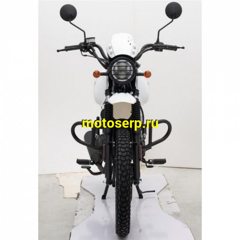 Купить  Мотоцикл Regulmoto Monster 200сс, 17/17", балансир, линз. фара, литые колеса (шт)  купить с доставкой по Москве и России, цена, технические характеристики, комплектация фото  - motoserp.ru