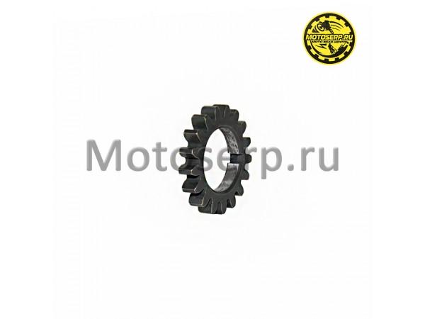 Купить  Шестерня привода маслонасоса (на коленвал) 154FMH 125СМ3 D33mm,d19mm,5mm.(шт) (0 купить с доставкой по Москве и России, цена, технические характеристики, комплектация фото  - motoserp.ru