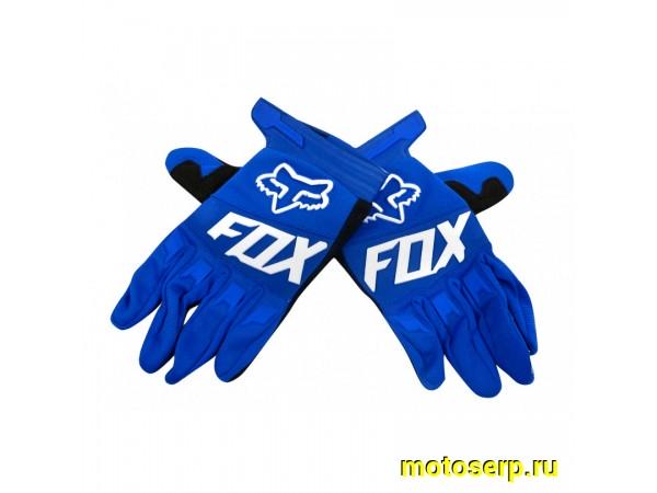 Купить  Перчатки Fox Dirtpaw Race синий/белый (XXL) (реплика) (пар) (Кокурин  купить с доставкой по Москве и России, цена, технические характеристики, комплектация фото  - motoserp.ru