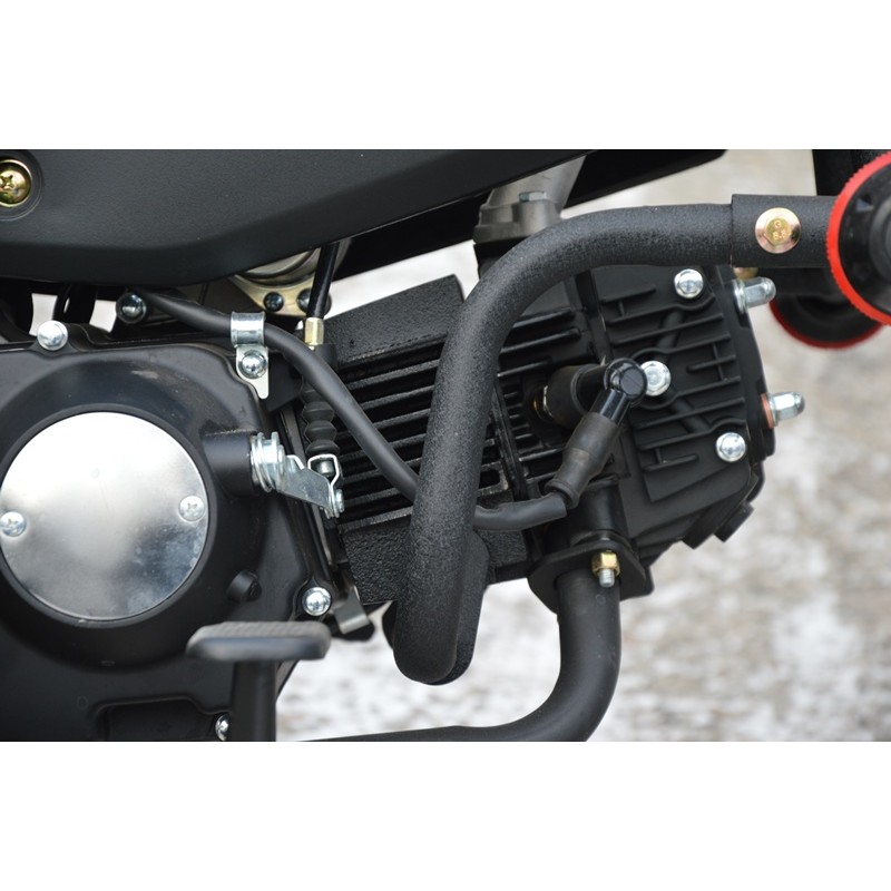 Купить  Мопед Alpha Jaguar RS Sport  4Т; 50cc; колеса 17/17"литые; 4пер, эл. старт; диск/бар, обтекатель, пеги (шт) 01250 (ФОТО купить с доставкой по Москве и России, цена, технические характеристики, комплектация фото  - motoserp.ru