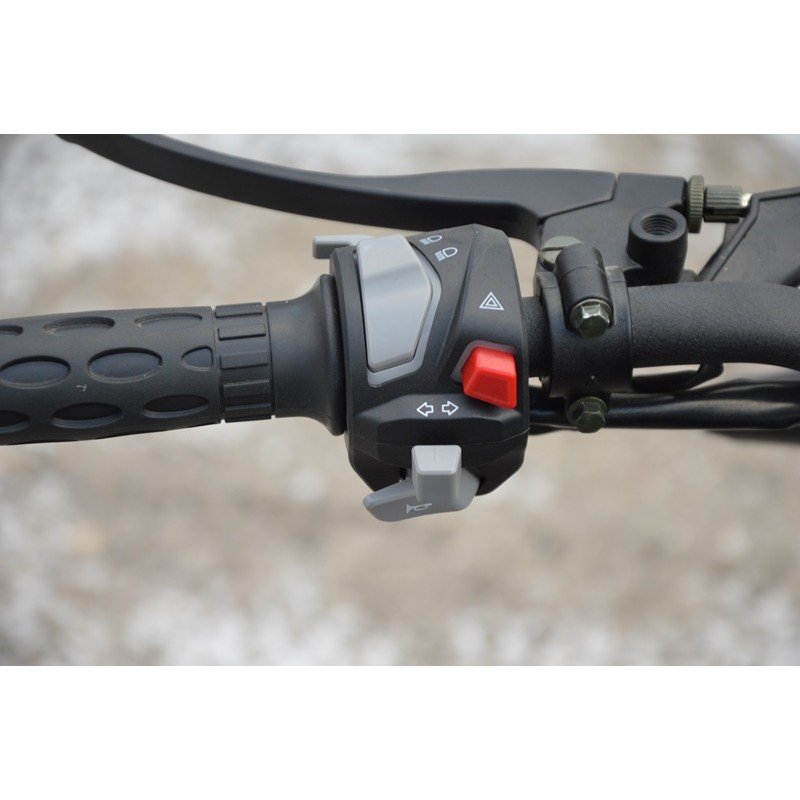 Купить  Мопед Alpha Jaguar RS Sport  4Т; 50cc; колеса 17/17"литые; 4пер, эл. старт; диск/бар, обтекатель, пеги (шт) 01250 (ФОТО купить с доставкой по Москве и России, цена, технические характеристики, комплектация фото  - motoserp.ru