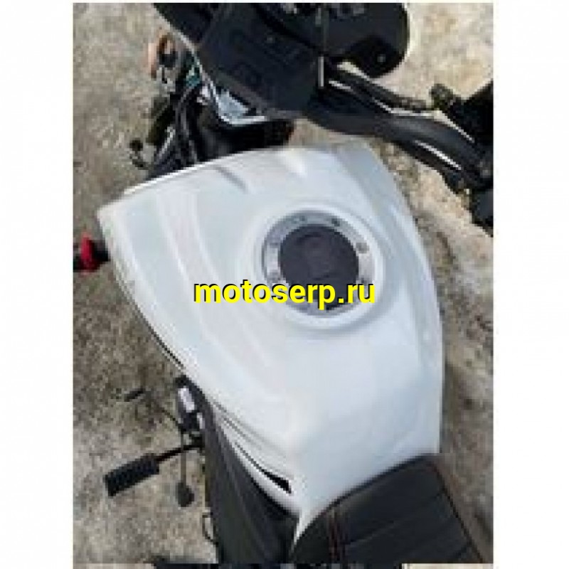 Купить  Мопед ALPHA JAGUAR RS SPORT  4Т; 50cc; колеса 17/17"литые; 4пер, эл. старт; диск/бар, обтекатель, пеги (шт) 01250 (ФОТО купить с доставкой по Москве и России, цена, технические характеристики, комплектация фото  - motoserp.ru