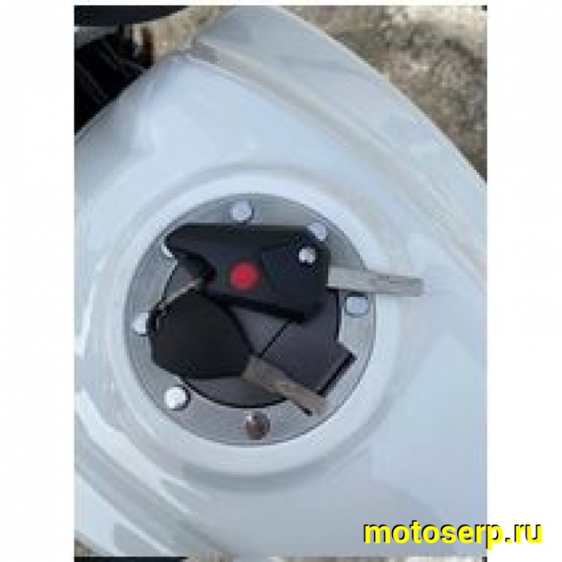 Купить  Мопед Alpha Jaguar RS Sport  4Т; 50cc; колеса 17/17"литые; 4пер, эл. старт; диск/бар, обтекатель, пеги (шт) 01250 (ФОТО купить с доставкой по Москве и России, цена, технические характеристики, комплектация фото  - motoserp.ru