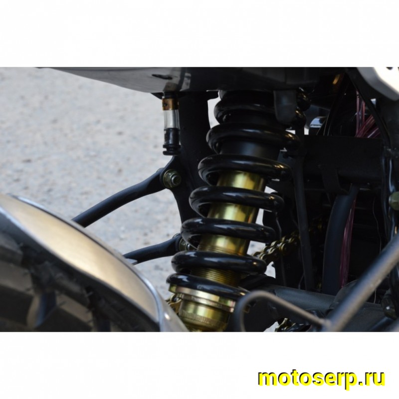 Купить  Мотоцикл Regulmoto FARGO 300сс ZS174FMN 17/17", диск/диск, линзов фара (шт)  купить с доставкой по Москве и России, цена, технические характеристики, комплектация фото  - motoserp.ru