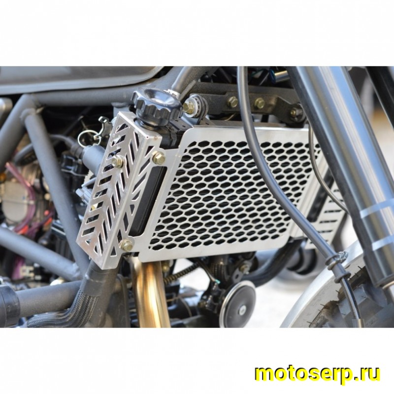 Купить  Мотоцикл Regulmoto FARGO 300сс ZS174FMN 17/17", диск/диск, линзов фара (шт)  купить с доставкой по Москве и России, цена, технические характеристики, комплектация фото  - motoserp.ru