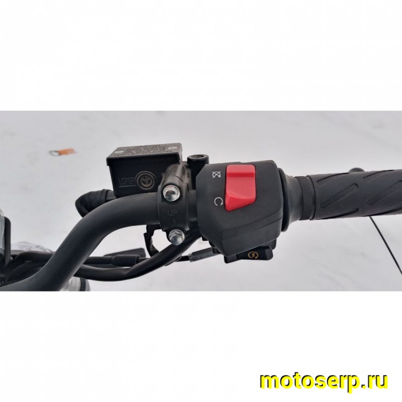 Купить  Мотоцикл VMC MONSTER 250  (репл DUCATI)  4так; 250cc (по ПТС 200cc); колеса 17"литые; 5пер, эл. старт;  (шт) (Vento купить с доставкой по Москве и России, цена, технические характеристики, комплектация фото  - motoserp.ru