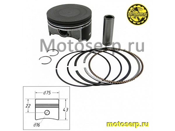 Купить  Поршень 175FMM D75; p-16; Sport 003, ZR, PR300 (шт) (Regul 190877 купить с доставкой по Москве и России, цена, технические характеристики, комплектация фото  - motoserp.ru