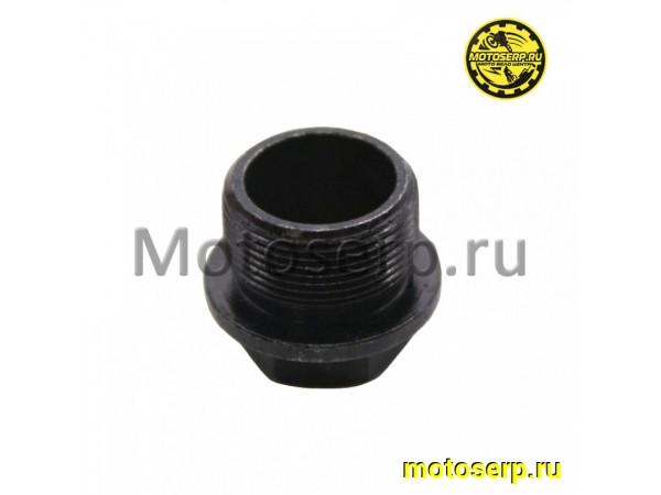 Купить  Болт крышка масляного фильтра малая ZS177MM ( M20,L-1,0mm ) (под 17 ключ)  (шт)  (0 купить с доставкой по Москве и России, цена, технические характеристики, комплектация фото  - motoserp.ru