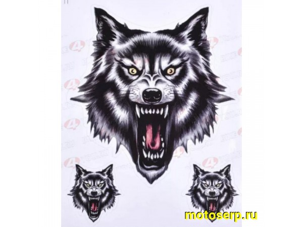 Купить  Наклейки (набор) X5050 (18*25) (шт) (0 купить с доставкой по Москве и России, цена, технические характеристики, комплектация фото  - motoserp.ru
