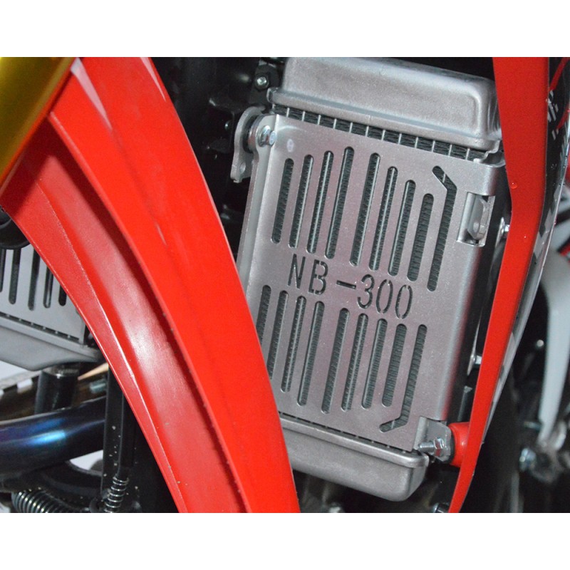 Купить  Мотоцикл Кросс/Эндуро Regulmoto CR-Z 300 (ЭПТС) 21/18, Gear 5, (NB300) NB178MN-6 292сс, 4Т, Красный/черный (шт)  купить с доставкой по Москве и России, цена, технические характеристики, комплектация фото  - motoserp.ru