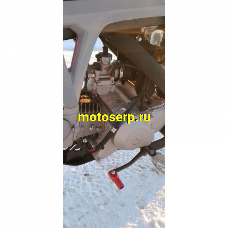 Купить  Питбайк JHL LK125 YX125EM 17/14 2024г. (механ. сцепл., эл. стартер) (шт) (SM  купить с доставкой по Москве и России, цена, технические характеристики, комплектация фото  - motoserp.ru