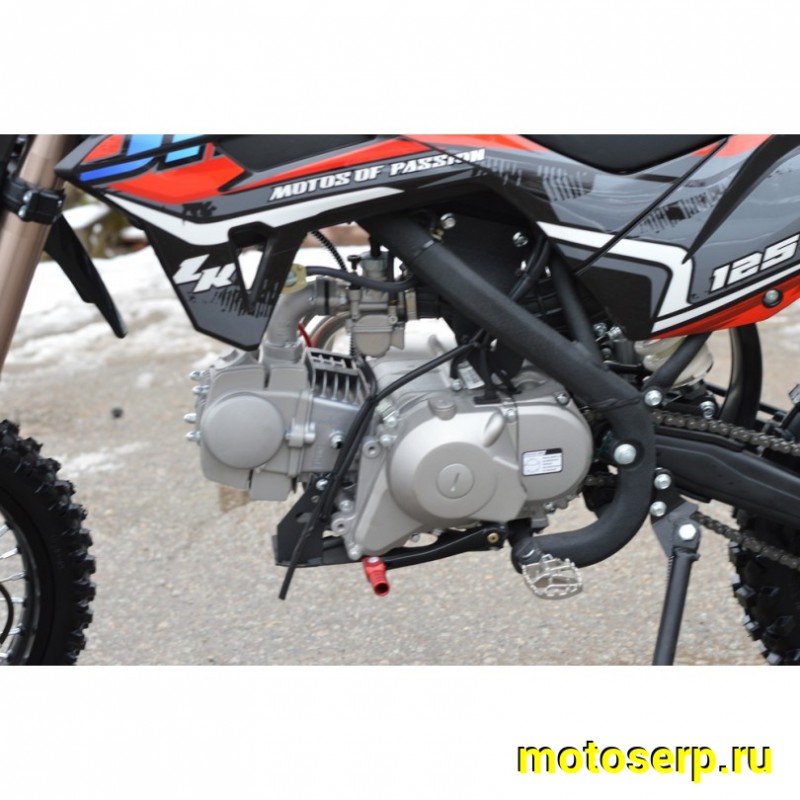 Купить  Питбайк JHL LK125 17/14 2025г. (шт) (ТехМаркет купить с доставкой по Москве и России, цена, технические характеристики, комплектация фото  - motoserp.ru