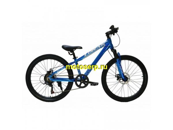 Купить  24" LORAK SHARK 24 GOLD (Лорак Шарк 24 голд) 24"; 7ск; рама-алюминий; тормоз-Disk (шт) (ART  купить с доставкой по Москве и России, цена, технические характеристики, комплектация фото  - motoserp.ru