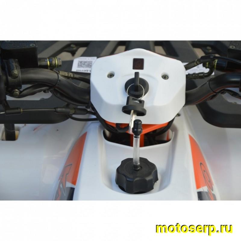 Купить  125cc Квадроцикл KAYO AU125 (белый пластик) (ПТС) 125сс, 8/8" эл.стартер, диск/диск (шт) (SM купить с доставкой по Москве и России, цена, технические характеристики, комплектация фото  - motoserp.ru