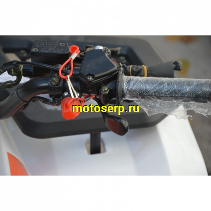Купить  125cc Квадроцикл KAYO AU125 (белый пластик 2024 г) (ПТС)  (шт) (SM купить с доставкой по Москве и России, цена, технические характеристики, комплектация фото  - motoserp.ru