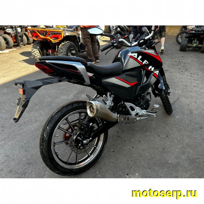 Купить  Мопед Millenium Alpha Champ, пробег 198км  4Т; 50/150cc; колеса 17"литые; 4пер, эл. старт; БЕЗ КИКА!  (шт)  купить с доставкой по Москве и России, цена, технические характеристики, комплектация фото  - motoserp.ru