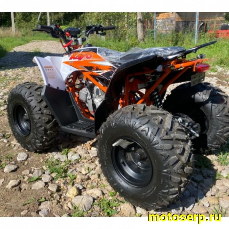 Купить  110cc Квадроцикл KAYO AT110 (белый пластик) (ПТС) 2025 г. 110сс, электростартер, 8/8" (шт) (SM купить с доставкой по Москве и России, цена, технические характеристики, комплектация фото  - motoserp.ru