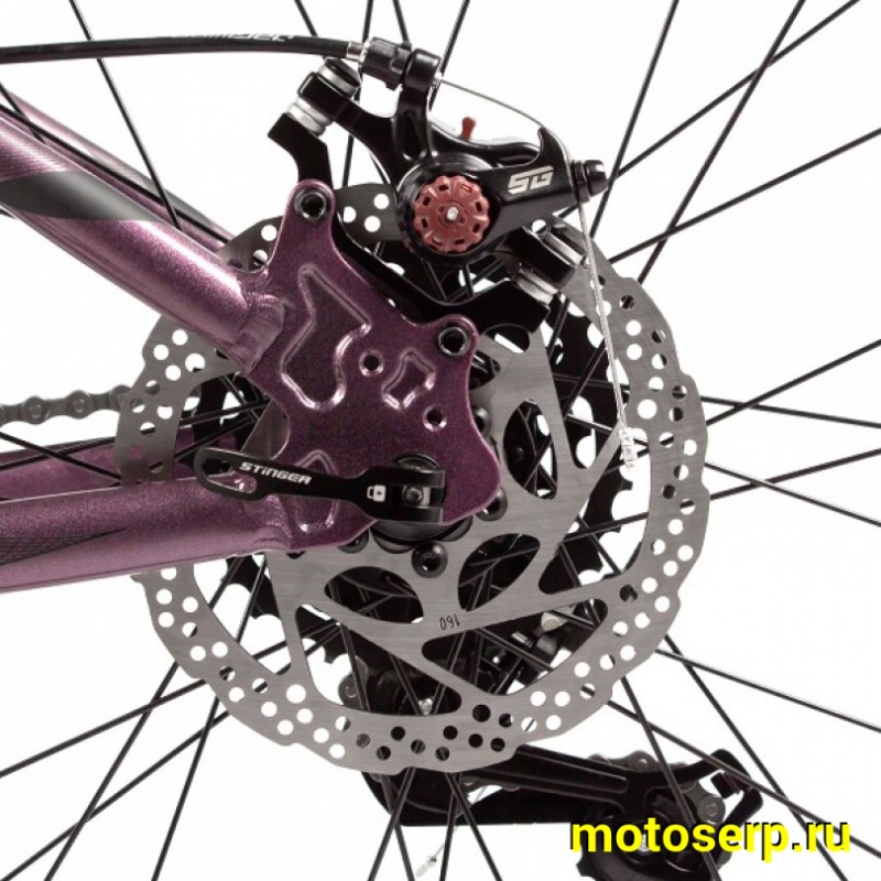 Купить  27.5" STINGER LAGUNA фиолетовый (16&rdquo;) (СТИНГЕР ЛАГУНА) 27,5&rdquo;; горный; ск; рама-алюминий; тормоз-Disk (шт) (ART  купить с доставкой по Москве и России, цена, технические характеристики, комплектация фото  - motoserp.ru