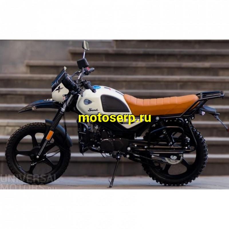 Купить  Мопед Racer RC50 Scout M2 50сс 18/18" биг бор -2 (шт) 01250 (ФОТО купить с доставкой по Москве и России, цена, технические характеристики, комплектация фото  - motoserp.ru