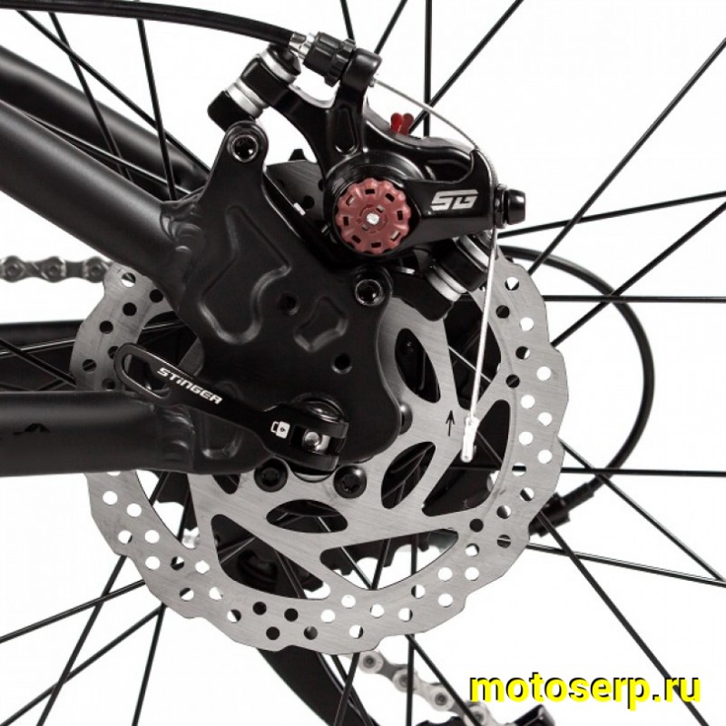 Купить  24" STINGER ELEMENT черный (13") (СТИНГЕР ЭЛЕМЕНТ) 24" горный; 8ск; рама-алюминий; тормоз-Disk; вилка пружинно-эластомерная (шт) (ART купить с доставкой по Москве и России, цена, технические характеристики, комплектация фото  - motoserp.ru