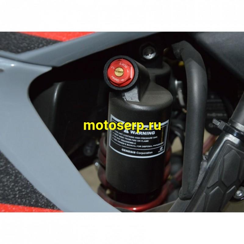 Купить  Мотоцикл Кросс/Эндуро Nine Fox Trekker 300cc (спортинв), 21/18, 4Т, 300сс, 174MN-3 ,4Т,4 клап.,балансир.,диск/диск (шт) (Nine  купить с доставкой по Москве и России, цена, технические характеристики, комплектация фото  - motoserp.ru