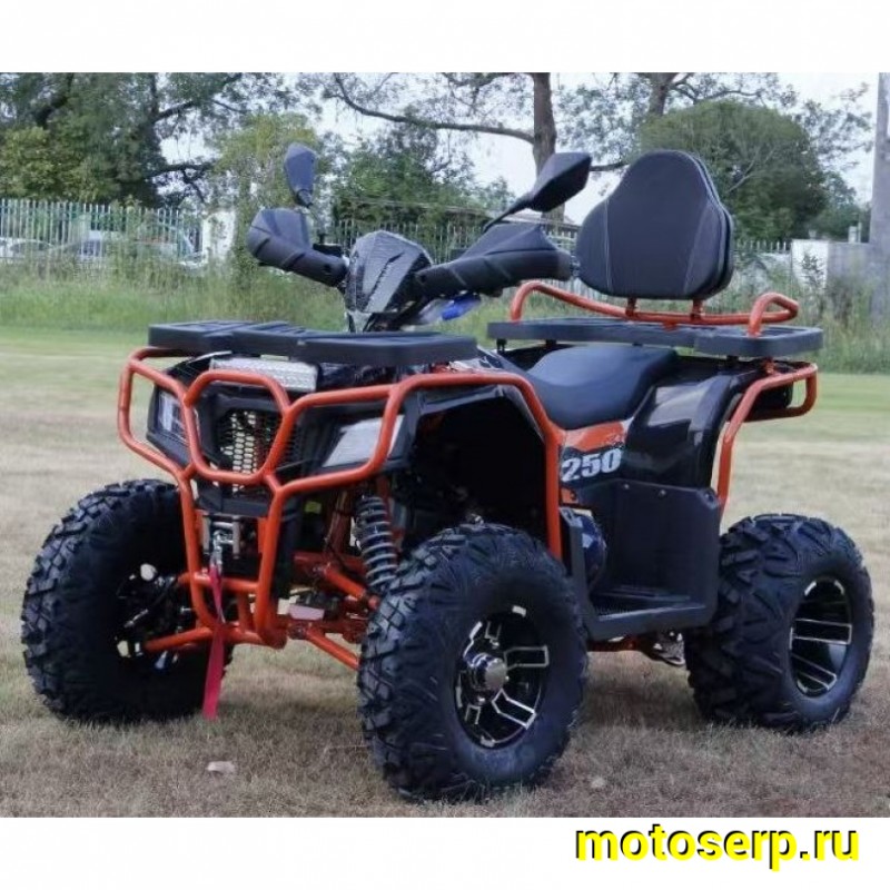 Купить  200cc Комплект запчастей для сборки ATV ATL 200cc Лебедка, 10/10", фаркоп, спинка, дуги пас, фара-балка, защита рук (шт) (ФОТО (Ram (Bek купить с доставкой по Москве и России, цена, технические характеристики, комплектация фото  - motoserp.ru