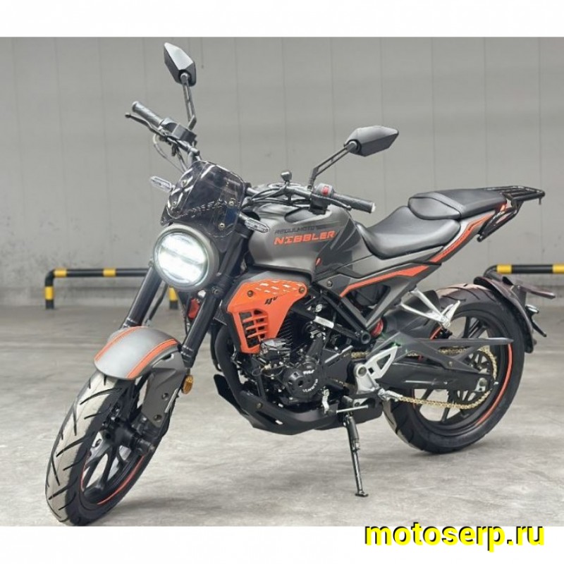 Купить  Мотоцикл Regulmoto Nibbler 300сс  LONCIN FE300 4V  17/17" масл. охл. 27л.с. (шт)  купить с доставкой по Москве и России, цена, технические характеристики, комплектация фото  - motoserp.ru