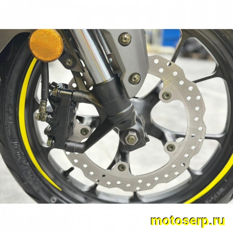 Купить  Мотоцикл Regulmoto Nibbler 300сс  LONCIN FE300 4V  17/17" масл. охл. 27л.с. (шт)  купить с доставкой по Москве и России, цена, технические характеристики, комплектация фото  - motoserp.ru