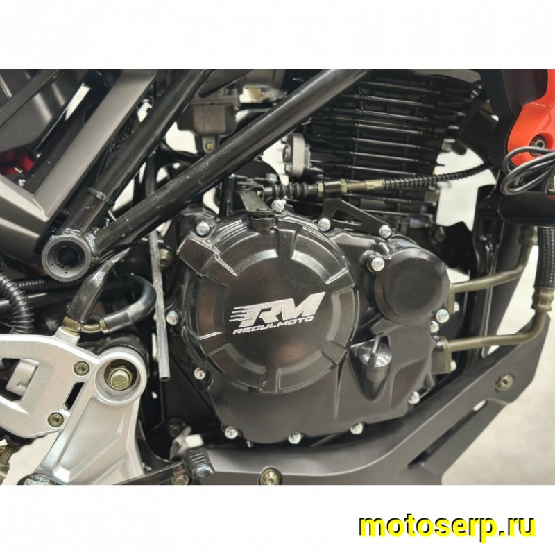 Купить  Мотоцикл Regulmoto Nibbler 300сс  LONCIN FE300 4V  17/17" масл. охл. 27л.с. (шт)  купить с доставкой по Москве и России, цена, технические характеристики, комплектация фото  - motoserp.ru