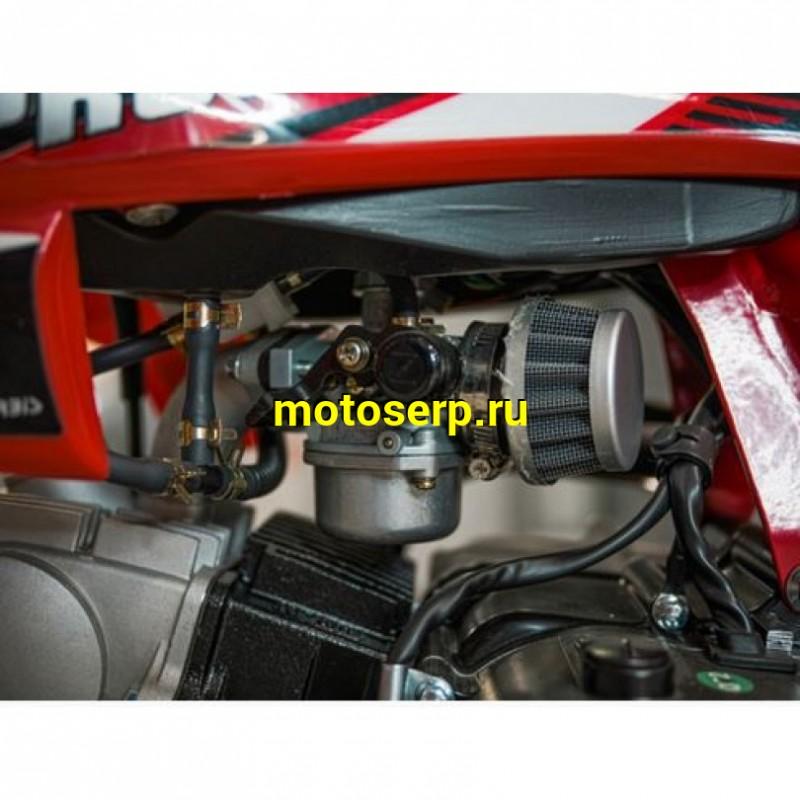 Купить  Питбайк Progasi KIDS POWER 110  10/10" (спортинв), 4Т, 110сс. эл/кикстартер (сборка +3000р) (шт) (Естай (Progasi (ФОТО купить с доставкой по Москве и России, цена, технические характеристики, комплектация фото  - motoserp.ru