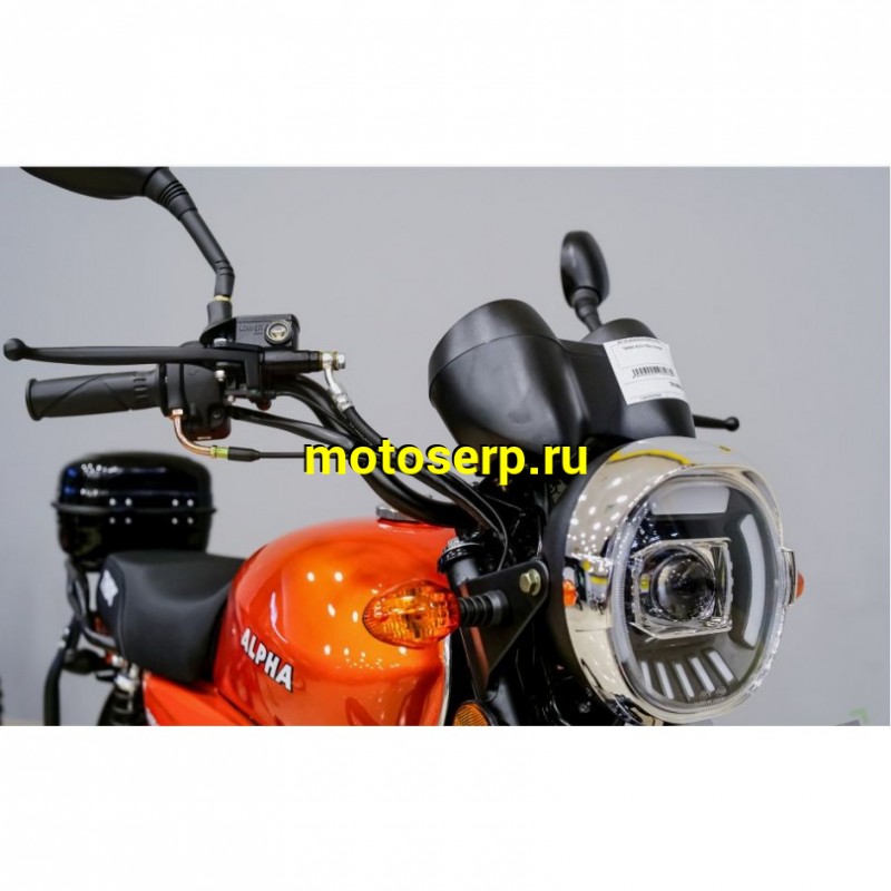 Купить  Мопед TMBK Alpha 50 17/17" 50cс, багажник зад, литые диски, LED фара (шт)  01100 (Progasi (ФОТО купить с доставкой по Москве и России, цена, технические характеристики, комплектация фото  - motoserp.ru