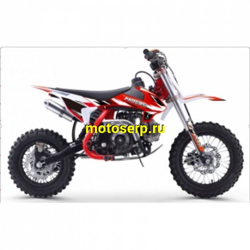 Купить  Питбайк Progasi KIDS POWER 110  10/12" (спортинв), 4Т, 110сс. элктростартер, Автомат  (сборка +3000р) (шт) (Progasi купить с доставкой по Москве и России, цена, технические характеристики, комплектация фото  - motoserp.ru