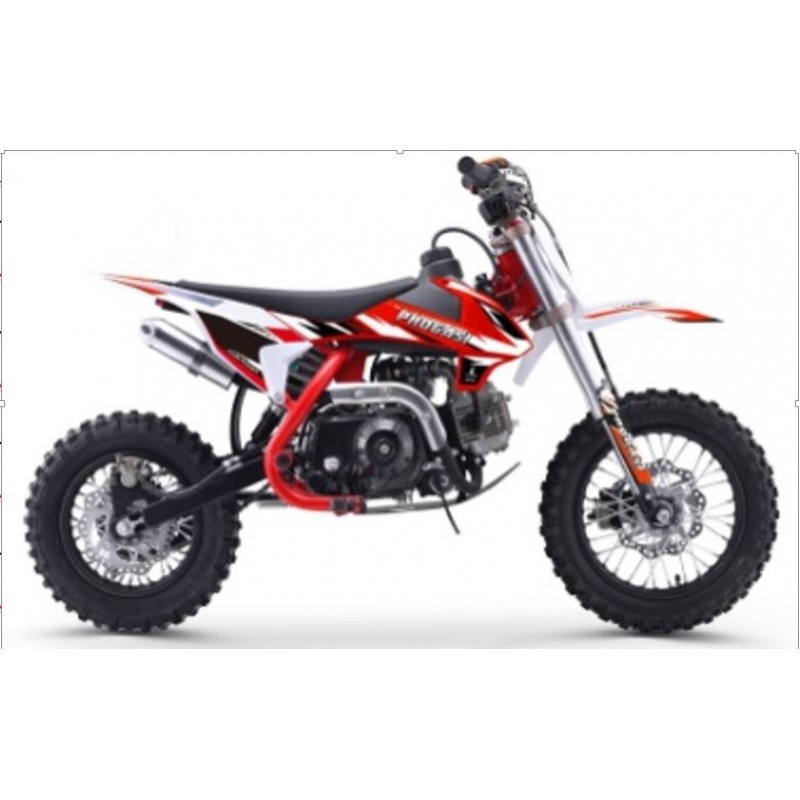 Купить  Питбайк Progasi KIDS POWER 110 12/10 (спортинв), 4Т, 110сс. элктростартер, Автомат  (шт) (Progasi купить с доставкой по Москве и России, цена, технические характеристики, комплектация фото  - motoserp.ru