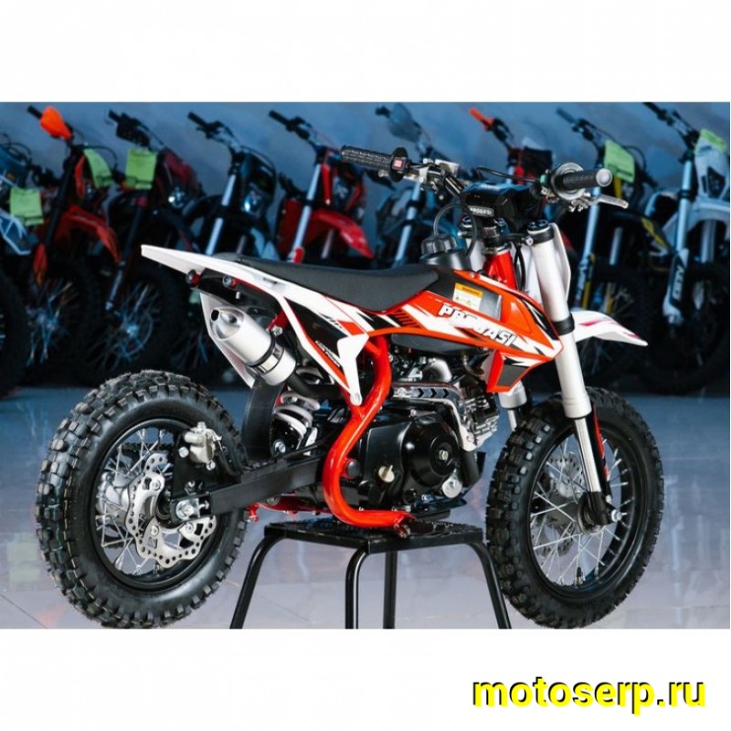 Купить  Питбайк Progasi KIDS POWER 110 12/10 (спортинв), 4Т, 110сс. элктростартер, Автомат  (шт) (Progasi купить с доставкой по Москве и России, цена, технические характеристики, комплектация фото  - motoserp.ru