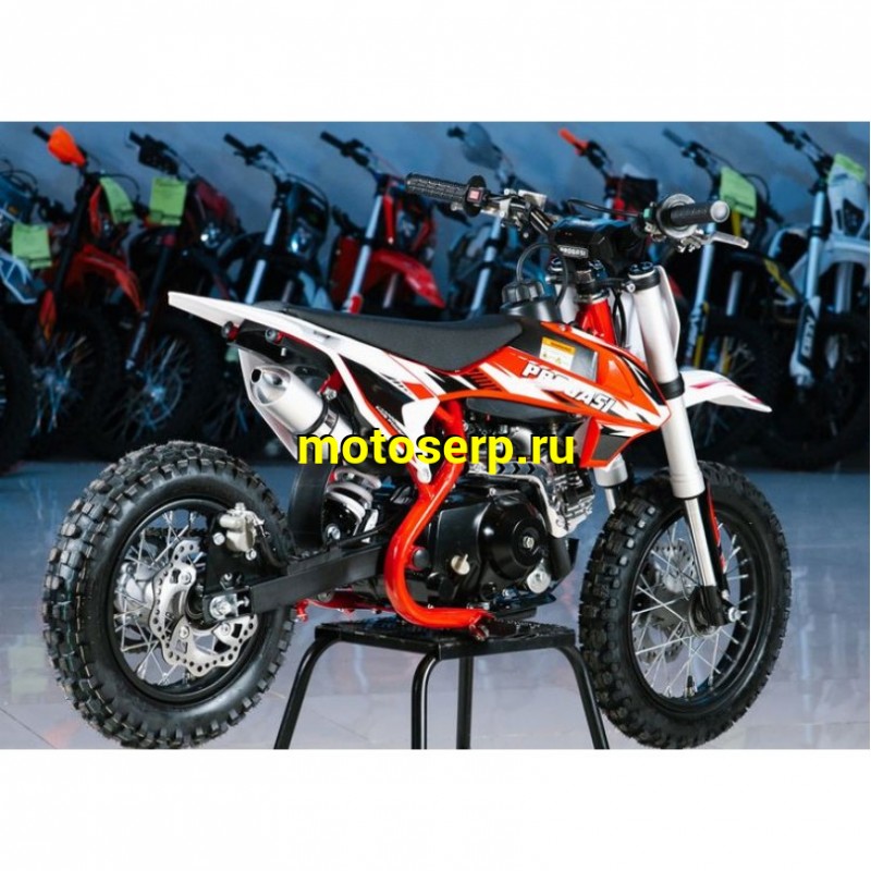 Купить  Питбайк Progasi KIDS POWER 110  10/12" (спортинв), 4Т, 110сс. элктростартер, Автомат  (сборка +3000р) (шт) (Progasi купить с доставкой по Москве и России, цена, технические характеристики, комплектация фото  - motoserp.ru
