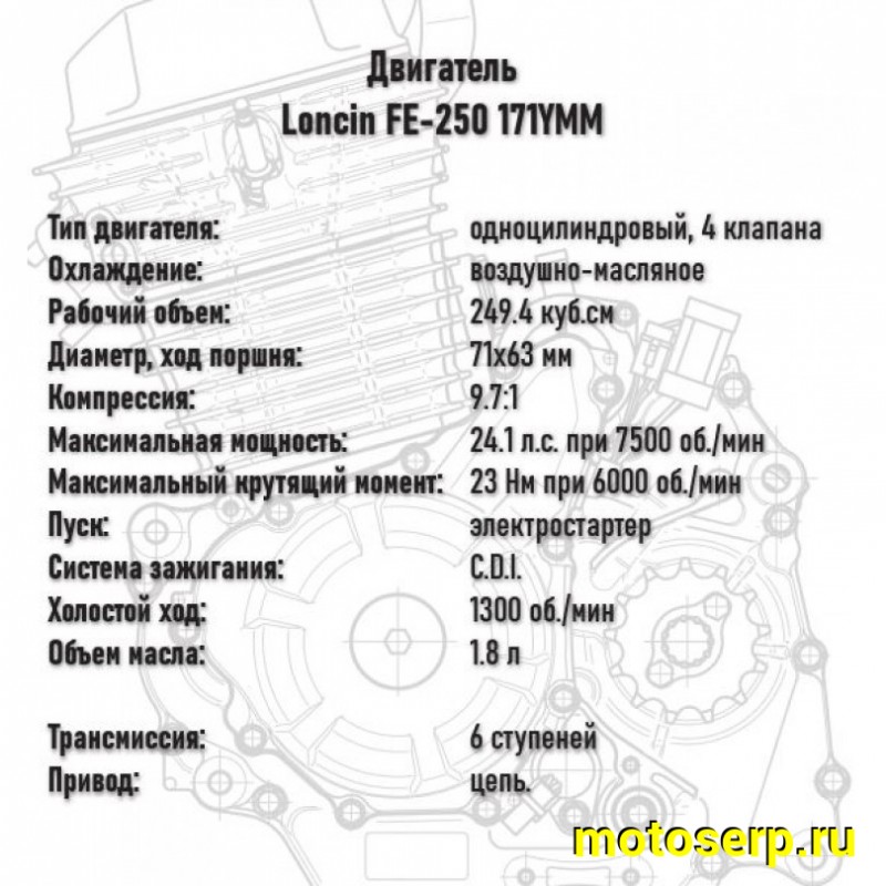 Купить  Мотоцикл внедорожный Loncin DS250 RALLY 4T (Loncin FE-250 171YMM) 21/18" (шт) (ПИК (ФОТО купить с доставкой по Москве и России, цена, технические характеристики, комплектация фото  - motoserp.ru